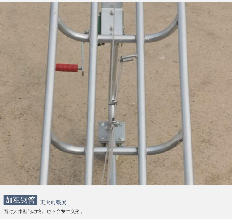 死猪拖车 拖死猪运输工具 配种舍 母猪舍 怀孕舍 分娩舍 育肥舍 公猪舍 生物安全 第10张 死猪拖车 拖死猪运输工具 配种舍 母猪舍 怀孕舍 分娩舍 育肥舍 公猪舍 生物安全 第10张