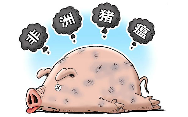 非洲猪瘟动画图.jpg 非洲猪瘟动画图.jpg
