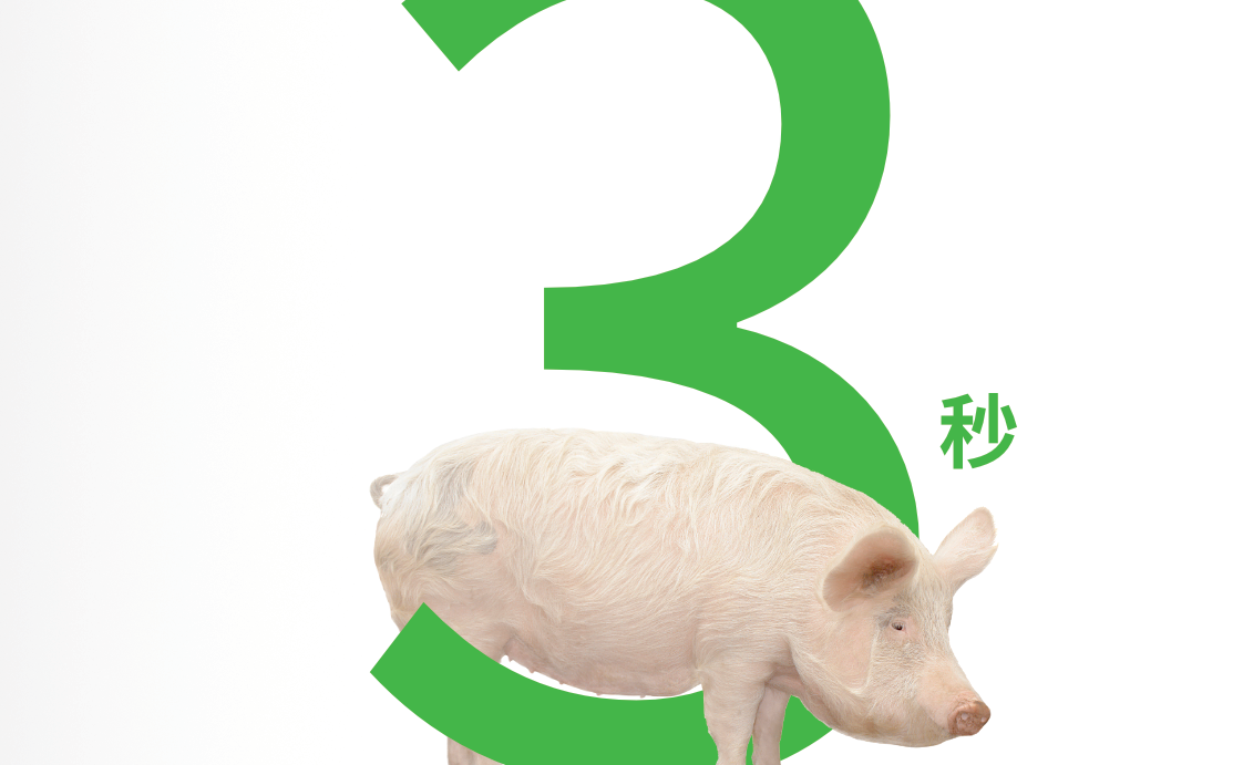 手持电热断尾器(荷兰进口) 分娩舍 阉割和断尾 手持电热断尾器(荷兰进口) 分娩舍 阉割和断尾