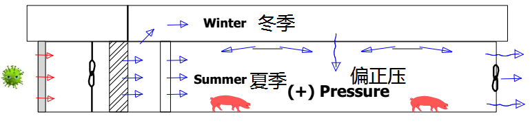 现代化公猪站的设计要点 养猪知识 第6张 现代化公猪站的设计要点 养猪知识 第6张
