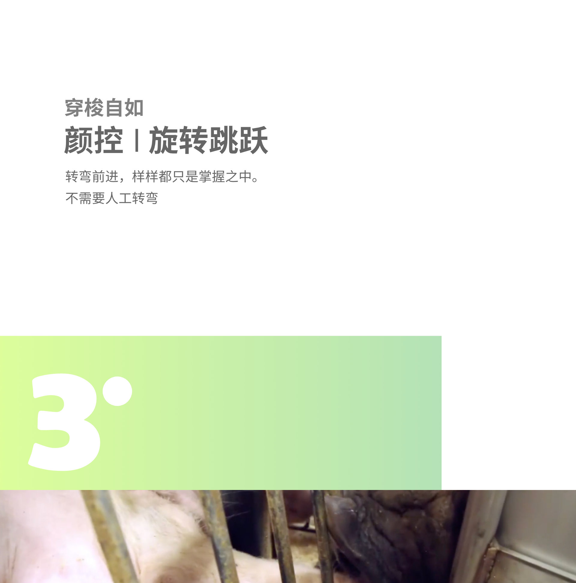 猪巴巴 公猪查情车 怀孕舍 配种舍 母猪舍 公猪舍 怀孕检查 第17张 猪巴巴 公猪查情车 怀孕舍 配种舍 母猪舍 公猪舍 怀孕检查 第17张